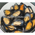 Frozen seafood mussel meat